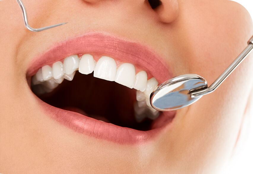 shutterstock_1389890048 3 (10) (1)